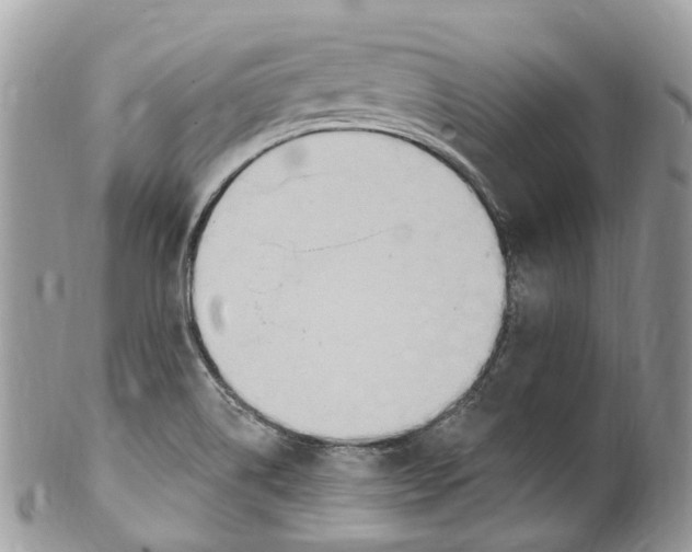 X0000099521514200806051158