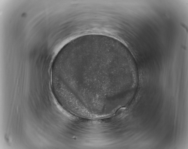 X0000099521515200806051158