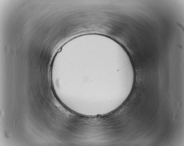 X0000099521516200806051159