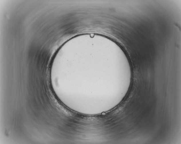 X0000099521517200806051159