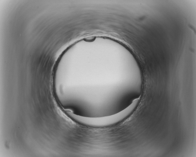 X0000099521518200806051159