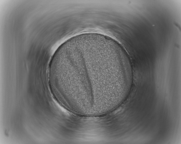 X0000099521519200806051159