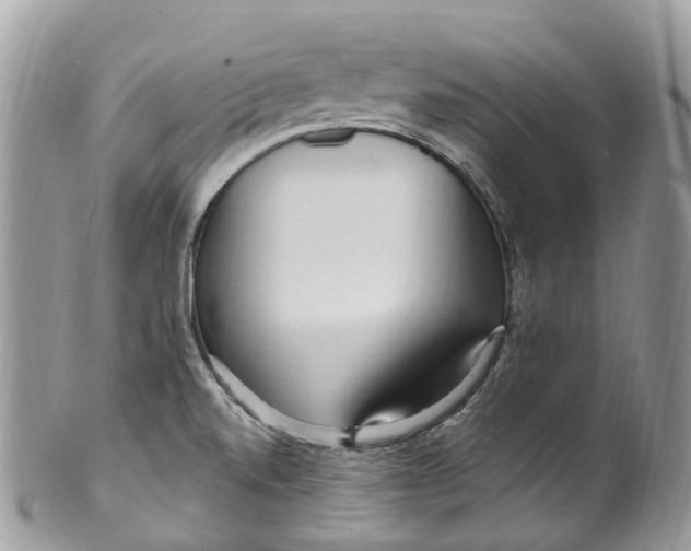 X0000099521520200806051159