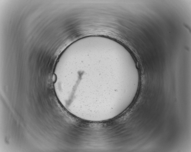 X0000099521521200806051159