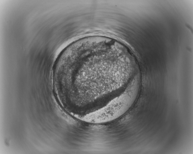 X0000099521522200806051159