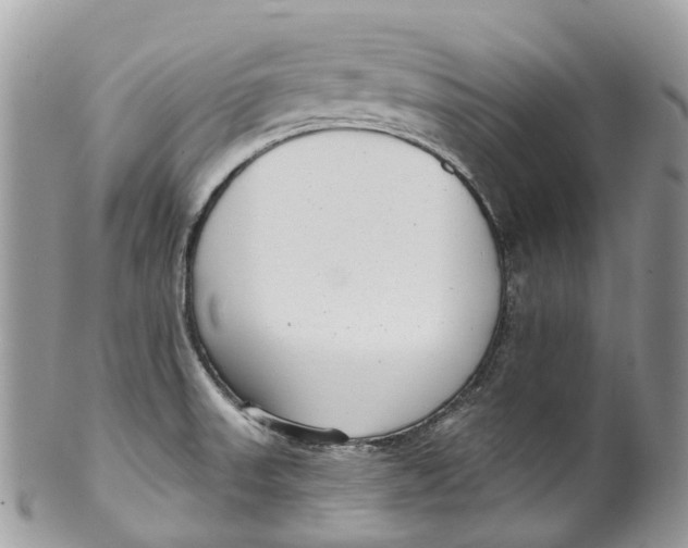 X0000099521523200806051159