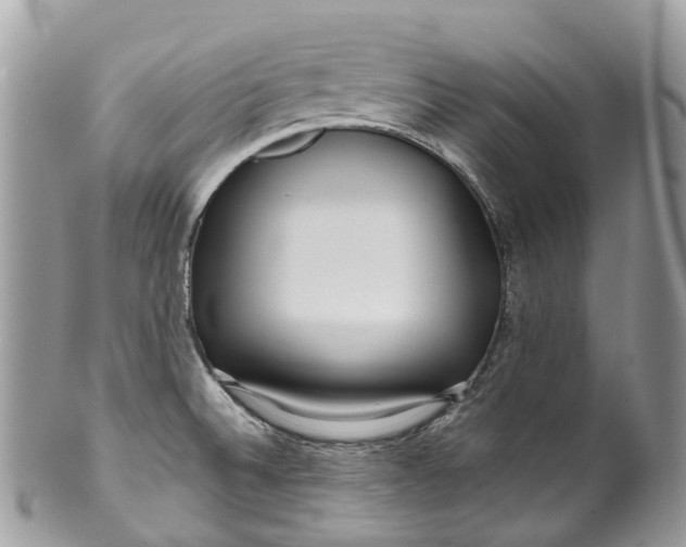 X0000099521524200806051159