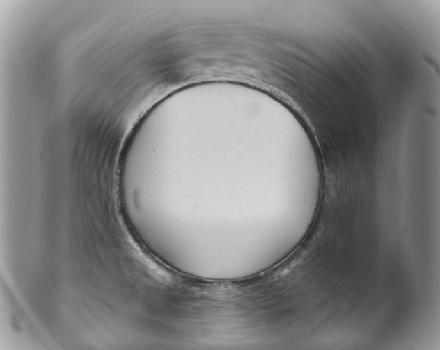 X0000099521525200806051159