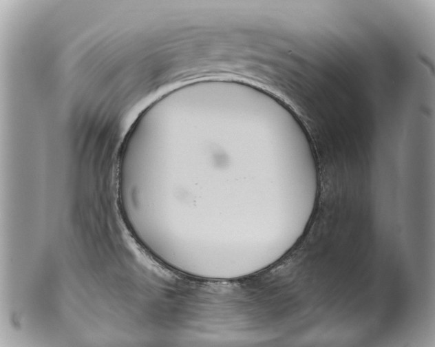 X0000099521526200806051159