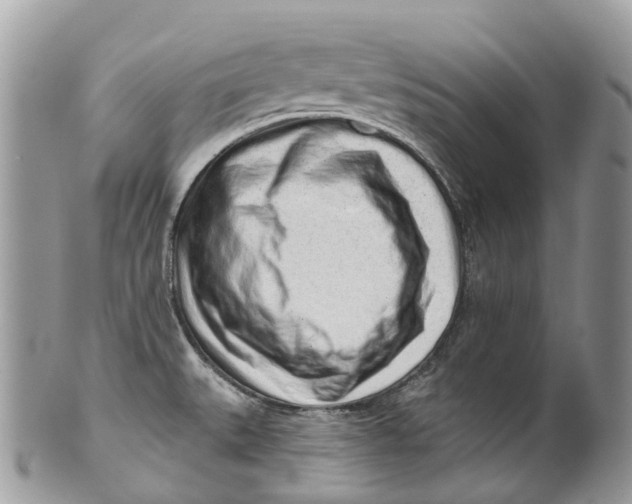 X0000099521527200806051159