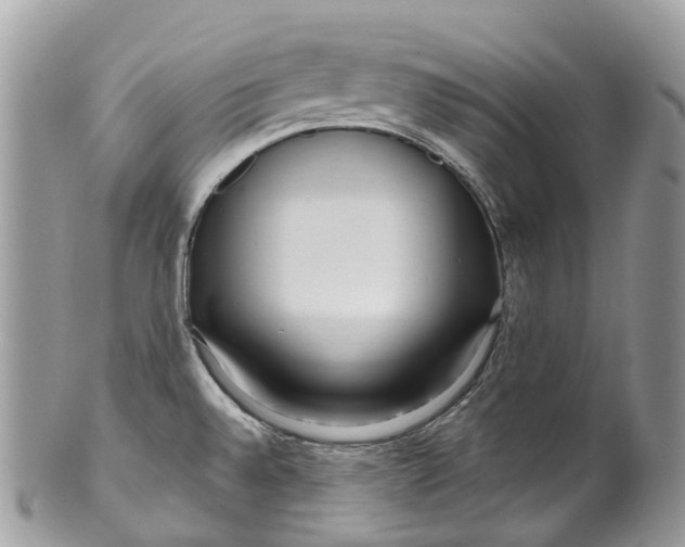 X0000099521528200806051159