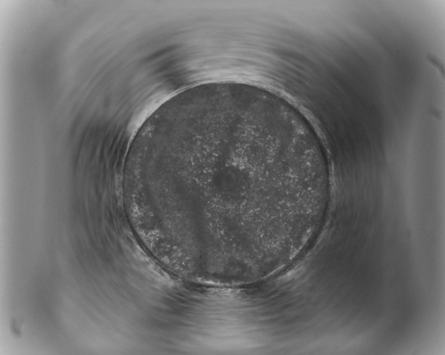 X0000099521529200806051159