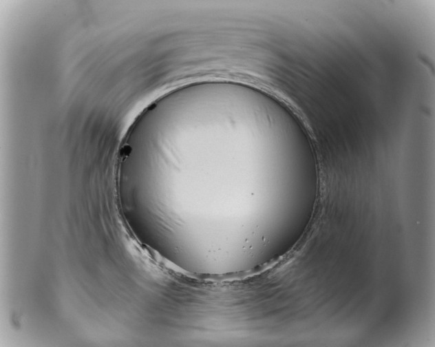 X0000099521530200806051159