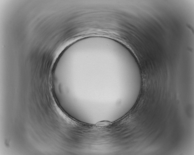 X0000099521531200806051159