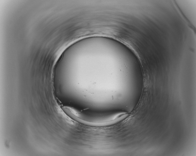 X0000099521532200806051159