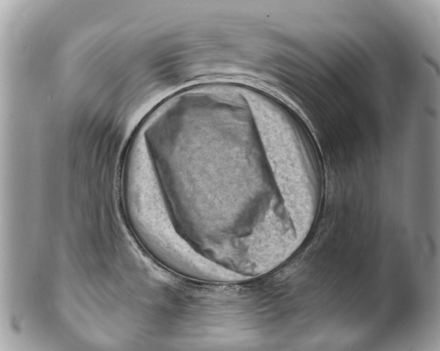 X0000099521533200806051159