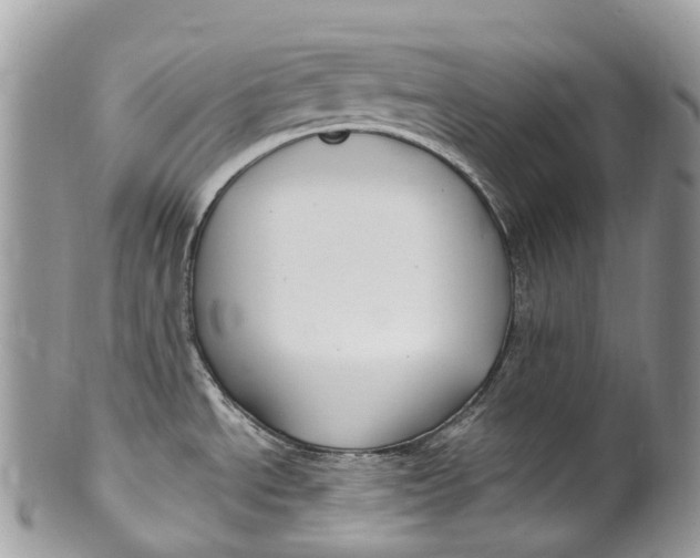 X0000099521534200806051159