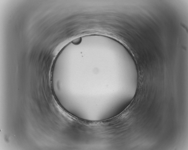 X0000099521535200806051159