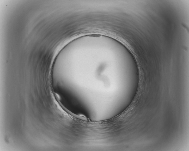 X0000099521536200806051159