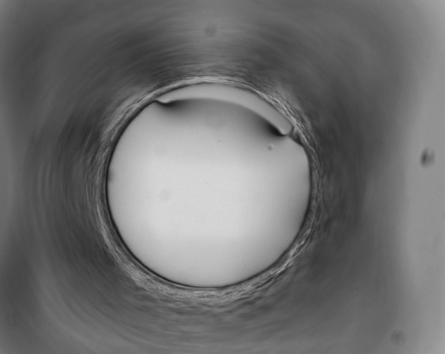 X0000099520001200806121512