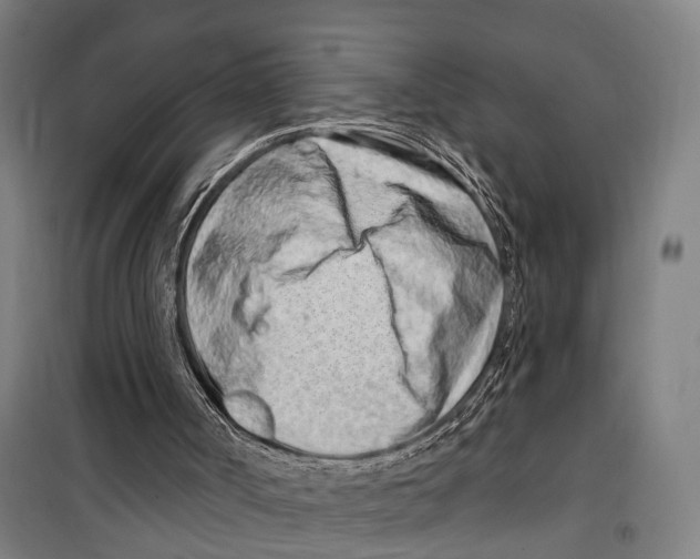 X0000099520002200806121512