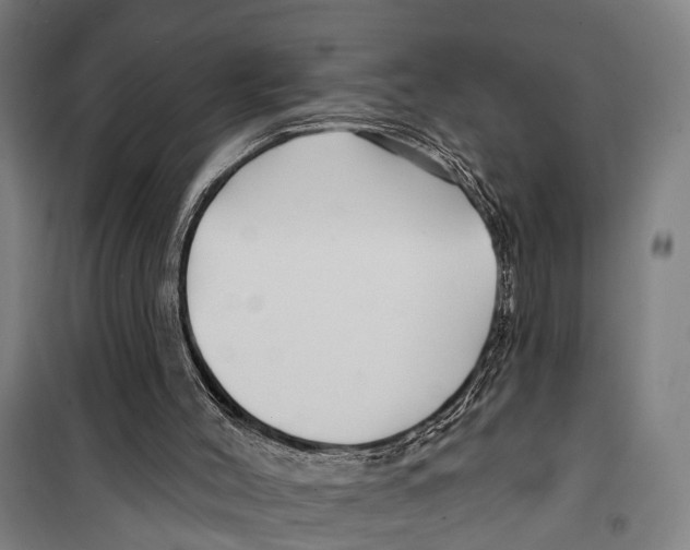 X0000099520004200806121512