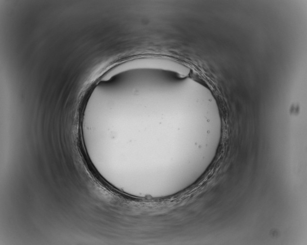 X0000099520005200806121512