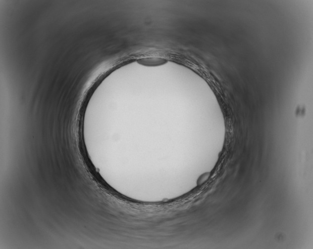 X0000099520006200806121512