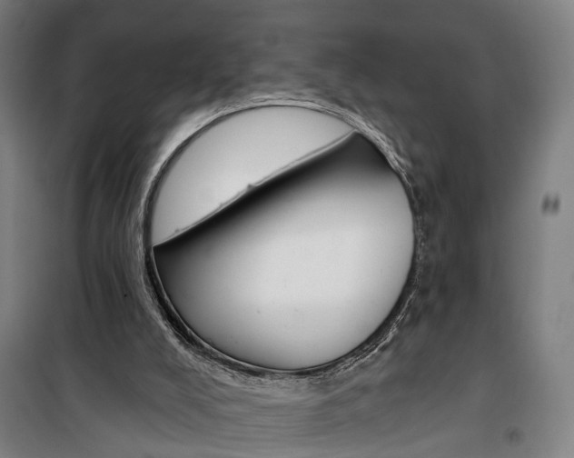 X0000099520008200806121512