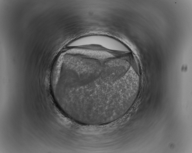 X0000099520009200806121512