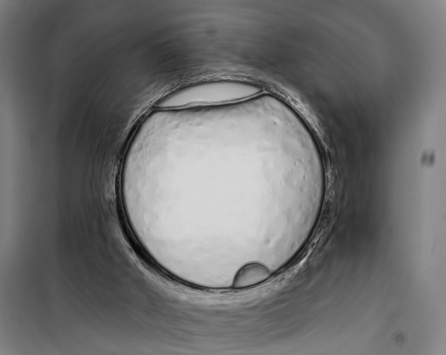 X0000099520010200806121512