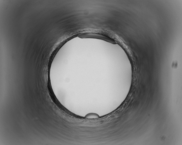 X0000099520011200806121512