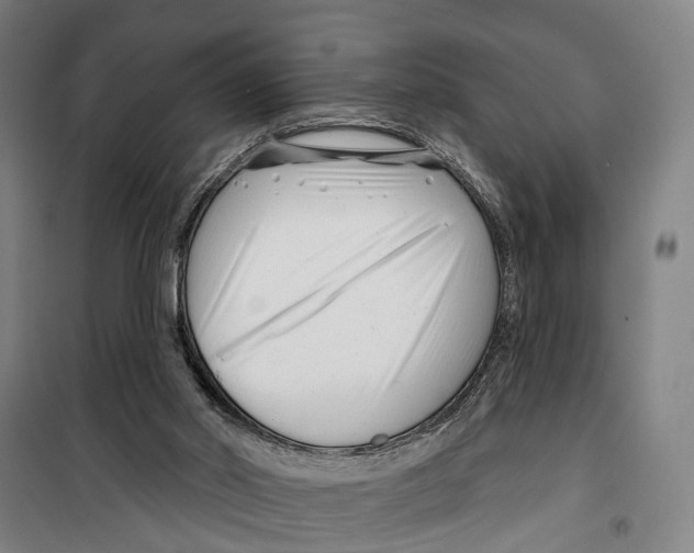 X0000099520014200806121512