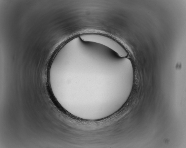 X0000099520015200806121512