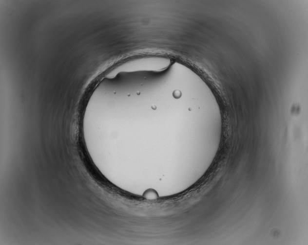 X0000099520016200806121512