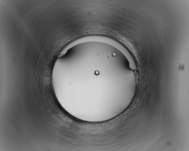 X0000099520017200806121512