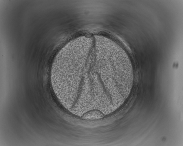 X0000099520018200806121512