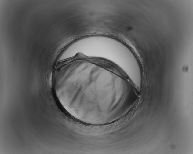 X0000099520019200806121512