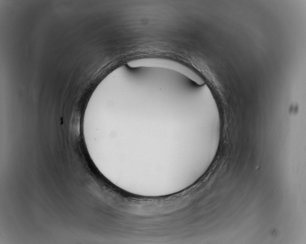 X0000099520021200806121512