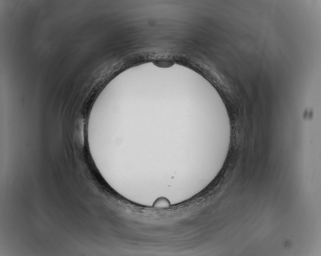 X0000099520022200806121512