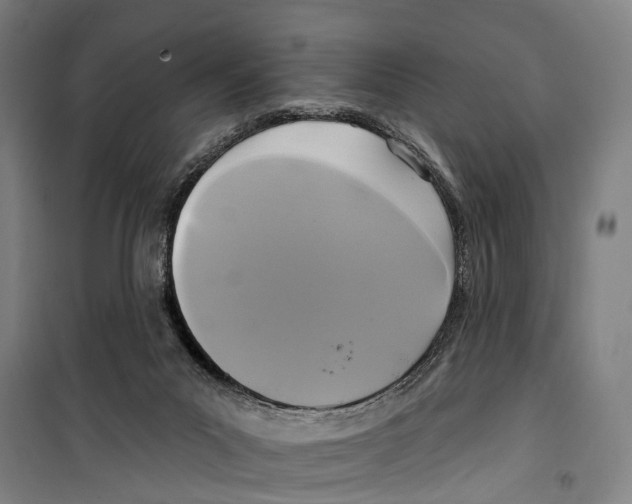 X0000099520023200806121512