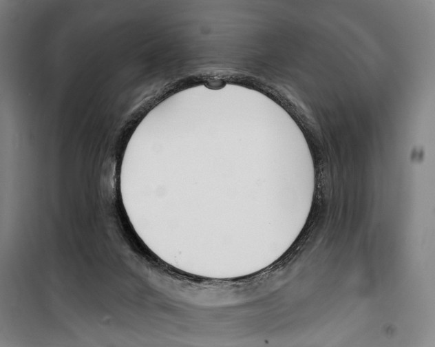 X0000099520024200806121512