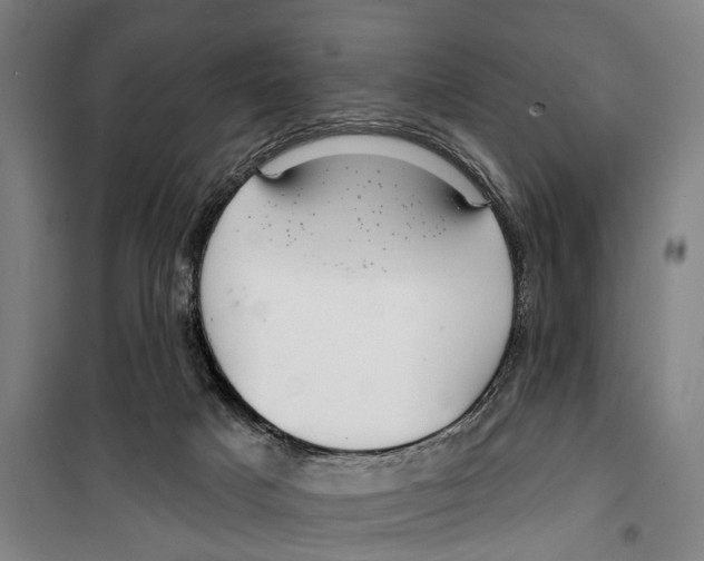 X0000099520025200806121512