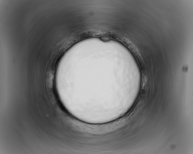 X0000099520026200806121512