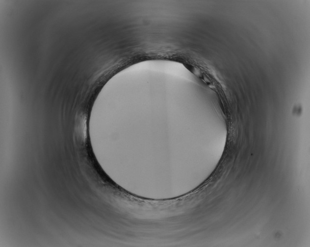 X0000099520027200806121512