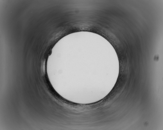 X0000099520028200806121512