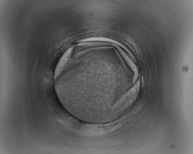 X0000099520029200806121512