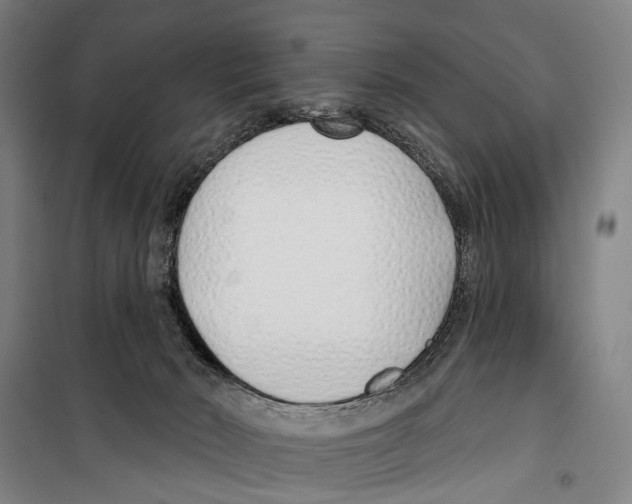 X0000099520030200806121512