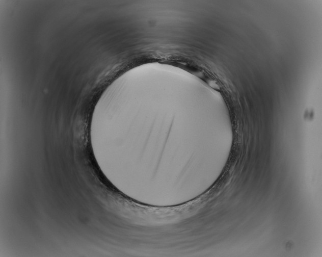 X0000099520031200806121512