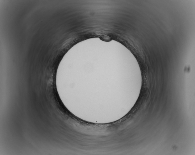 X0000099520032200806121512